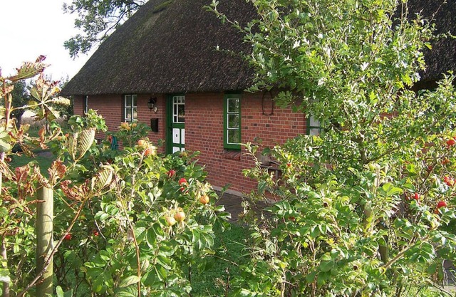 Thatched roof house Kehl
