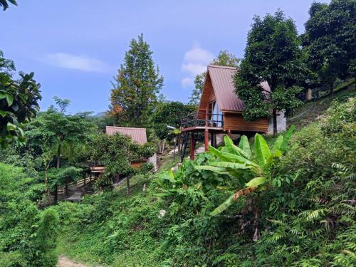 The BED Forest Camp Lansaka ฟอเรสแค้มป์ ลานสกา