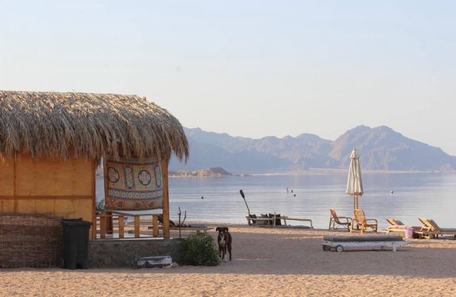 The Bedouin Life with Eid Ali - Standard Double room 2n