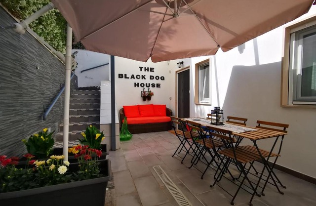 The black dog house
