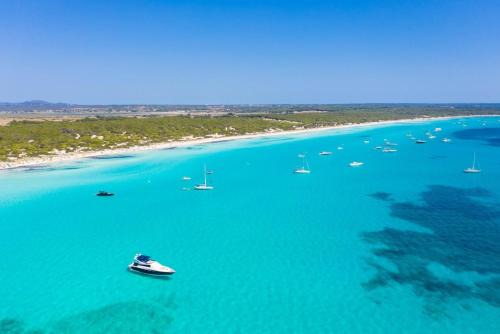 The Blue Beach