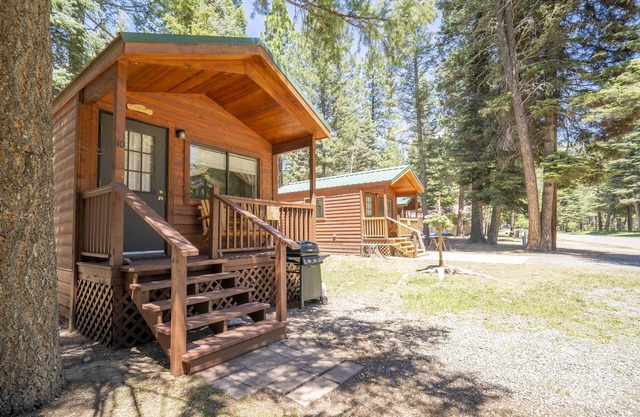 The Blue Fox Cabin #8