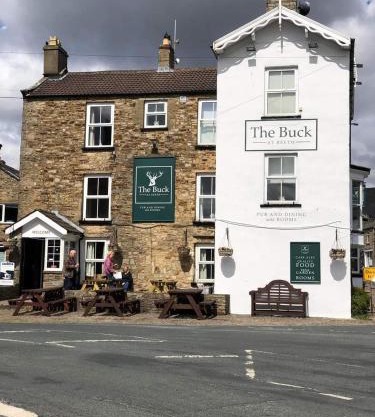 The Buck