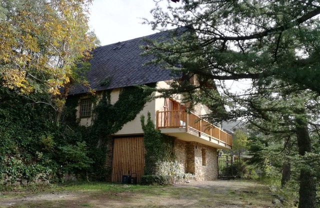 THE CASITA OF THE FOREST OF SORT