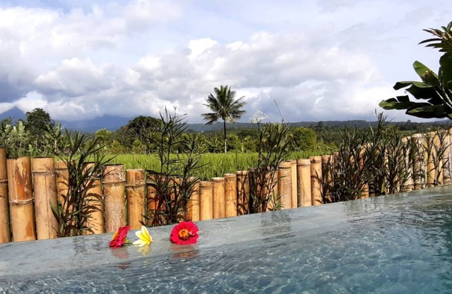 The Champuhan Villa - Honeymoon Villa With Rice Field View