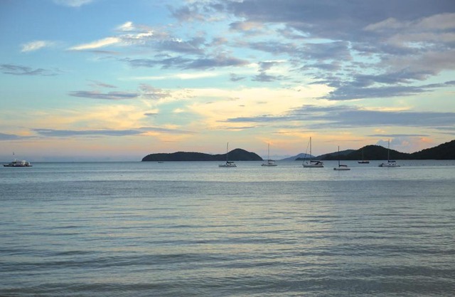 The Cove