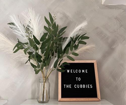 The Cubbies
