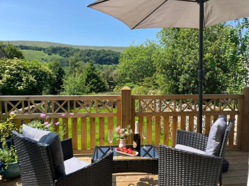 The Dale - Luxurious annexe with stunning view