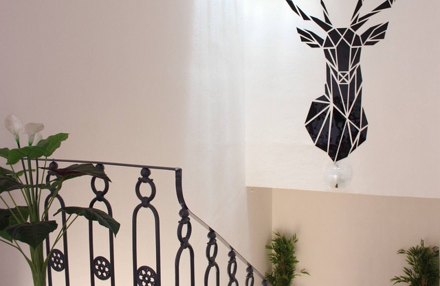 The Deer Oasis