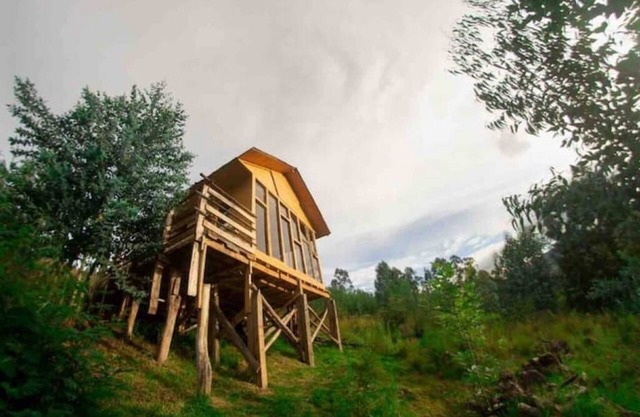 The Divine Mountain House