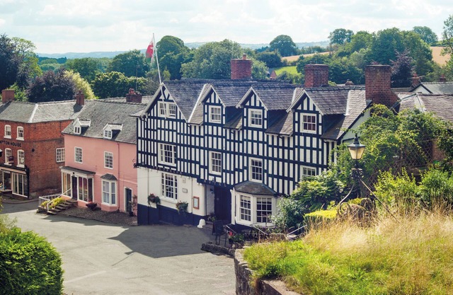 The Dragon Hotel