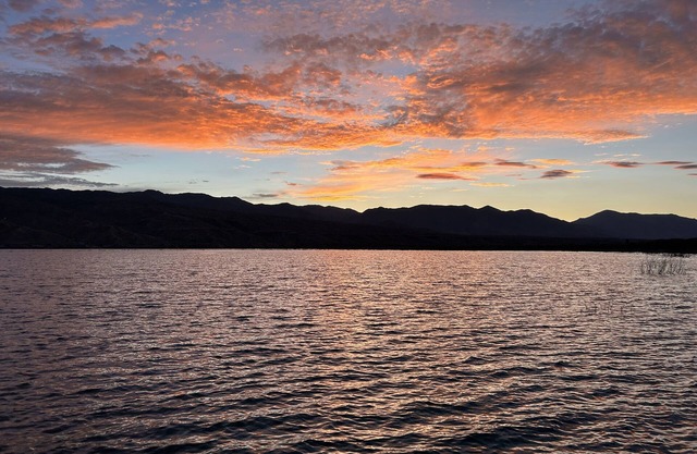 The Eagle Perched at Roosevelt Lake