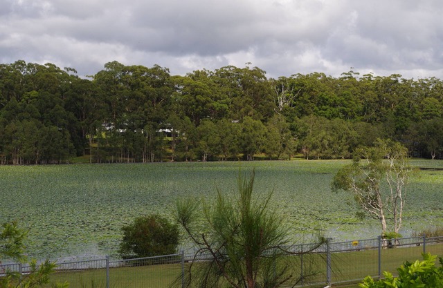 The Emerald Cottage retreat - close to beaches