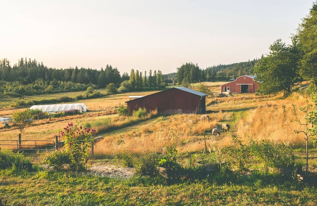 The Farmhouse Suite near Port Townsend, WA