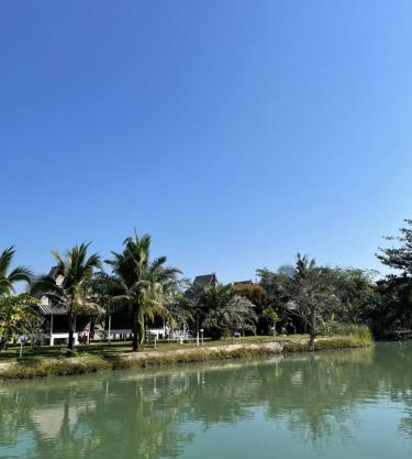 The Forest Hill Homestay