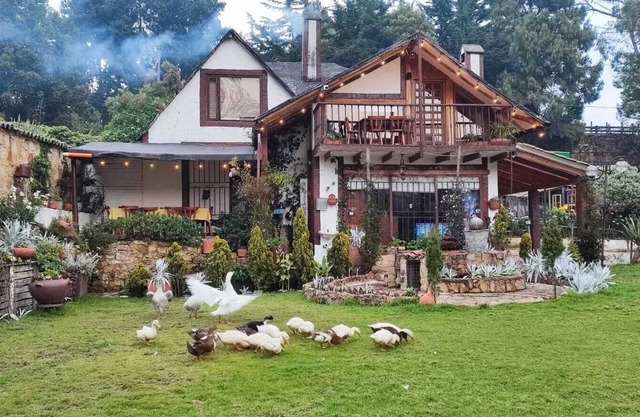 The Frailejon House