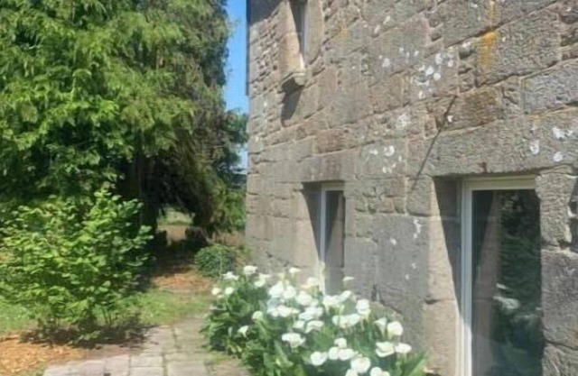 The front garden