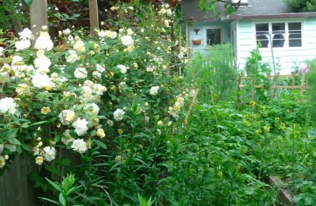 The Garden Cottage.Step Back in Time - Experience Nature - with Creative Spirit