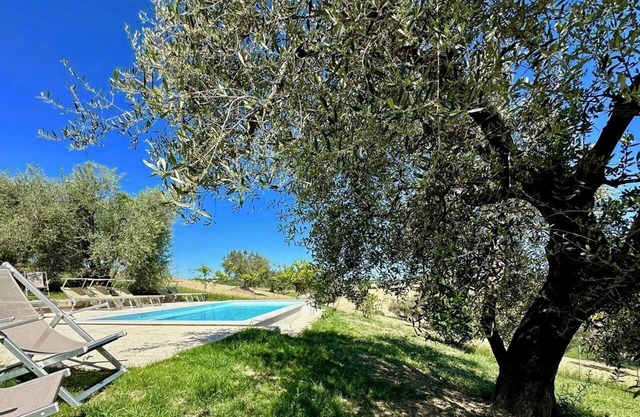 the Girasole in country house with swimming pool in Senigallia
