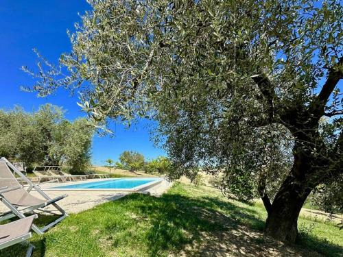 the Girasole in historic villa with pool in Senigallia