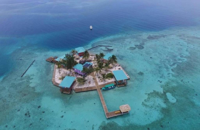 The Green Parrot Fish at King Lewey's Island Resort, Placencia Cayes, Belize