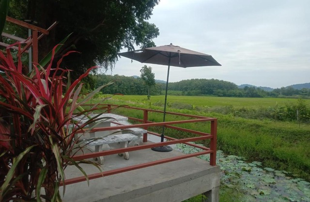 The Green Vale B&B