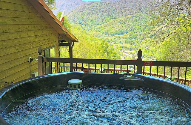 The" Hawks Nest" offers the Best Views In The Valley
