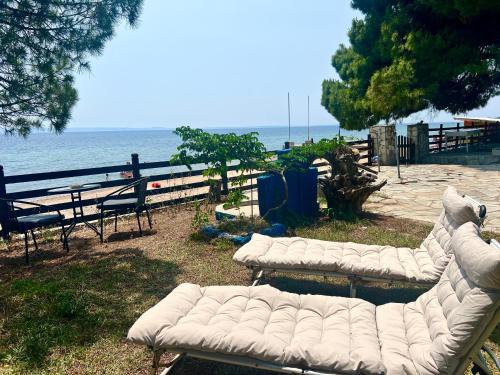The House by the Sea