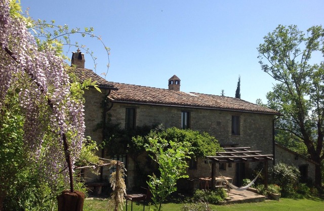 The house in Paradise