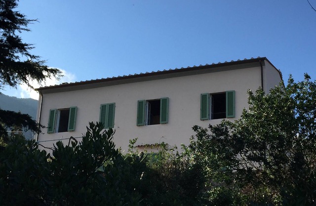The house is nestled in an orchard with direct descent to the beach