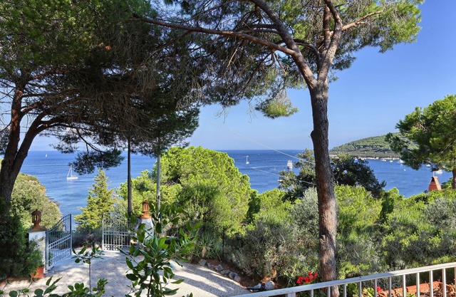 The House "La Terrazza Dell'Elba"
