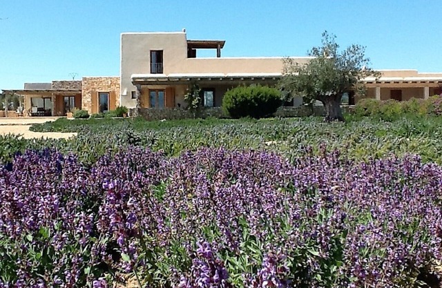 the house of the buen camino