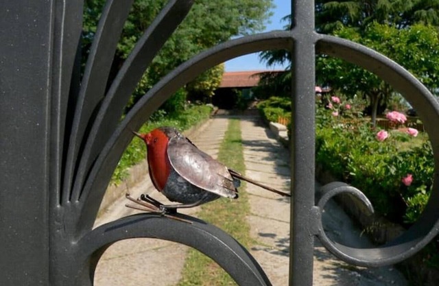 The House Of The Robin