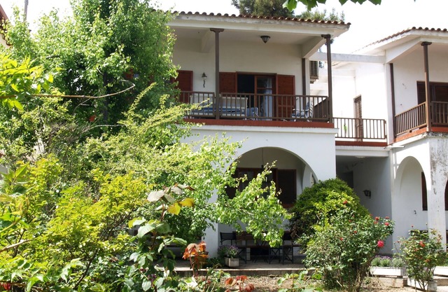 The house with the palm tree