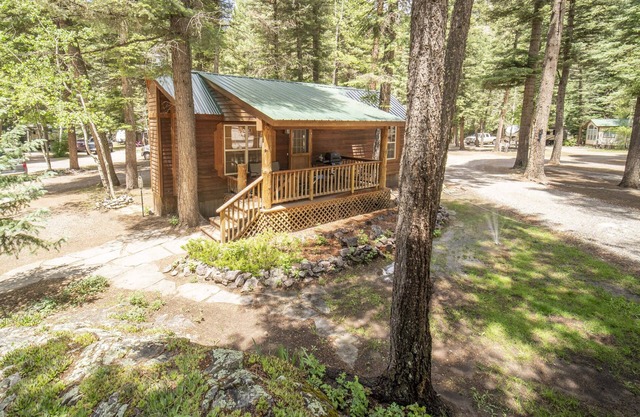 The Iris Cabin #1 Sum