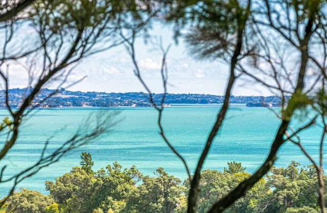THE ISLAND TREE HOUSE : Coast and Country