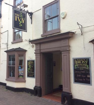 The Ivy