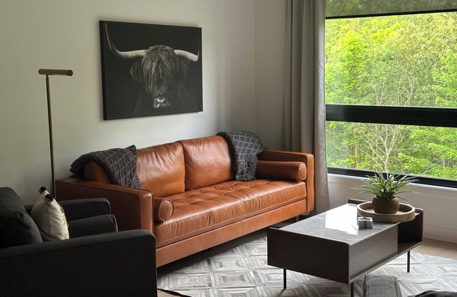 The JOFORD, Condo, 5 minutes from skiing, Sépaq with extras (bikes, paddles +)