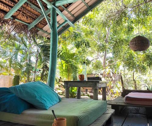 The Jungle House