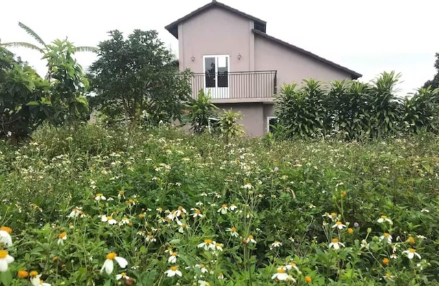 The Lavie' Homestay- on Mountain