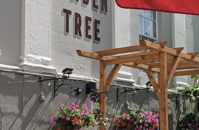 The Linden Tree