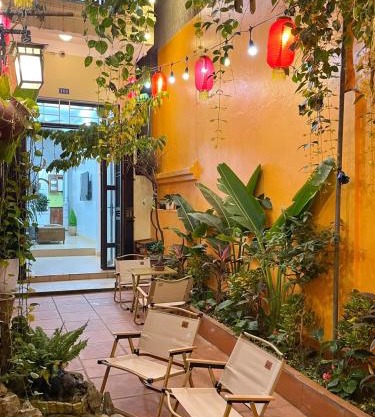 The little Ha Noi