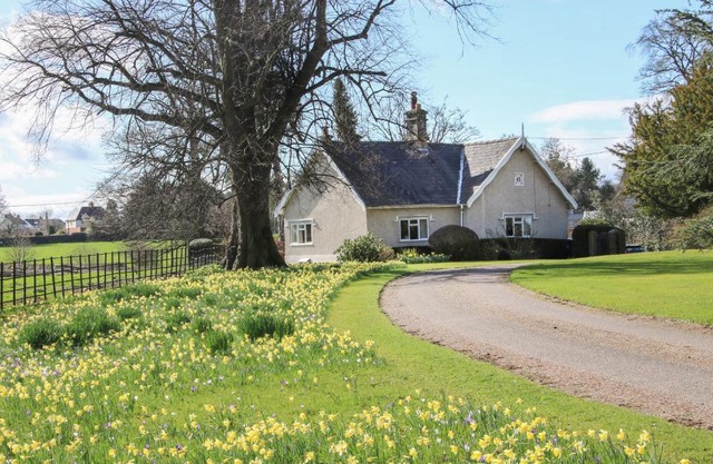 The Lodge