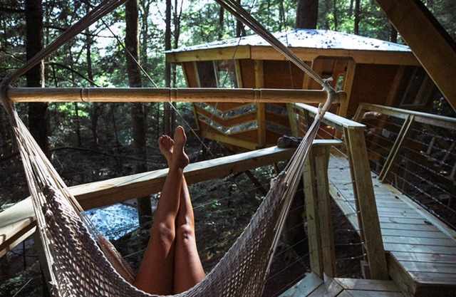 The Looking Glass: A Pair of Mirrored Treehouses