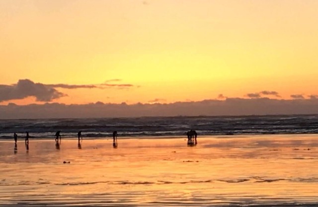 The Lowtide Motel