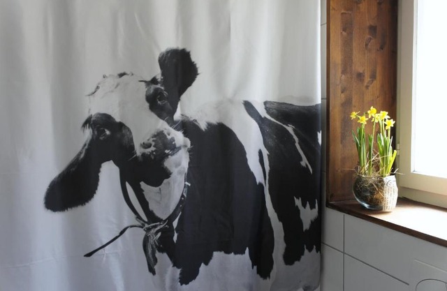 The Mad Cow