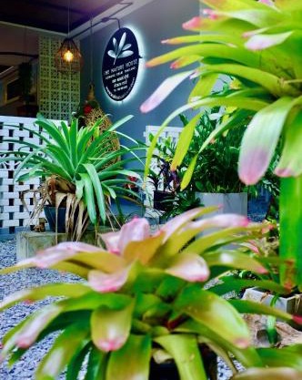 The Nature House Aonang Krabi Thailand