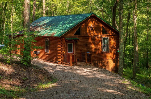 The Nest Cabin near Ash Cave