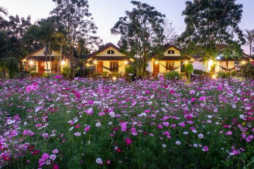The Nest House