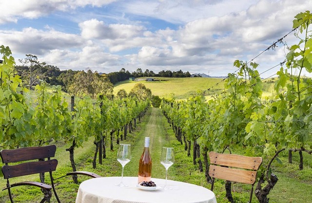 The Nest - Matakana Vineyard Retreat